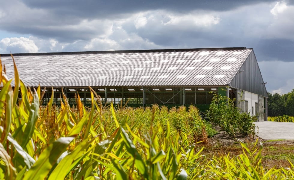 Verhoog het welzijn van je dieren met een optimale huisvesting 